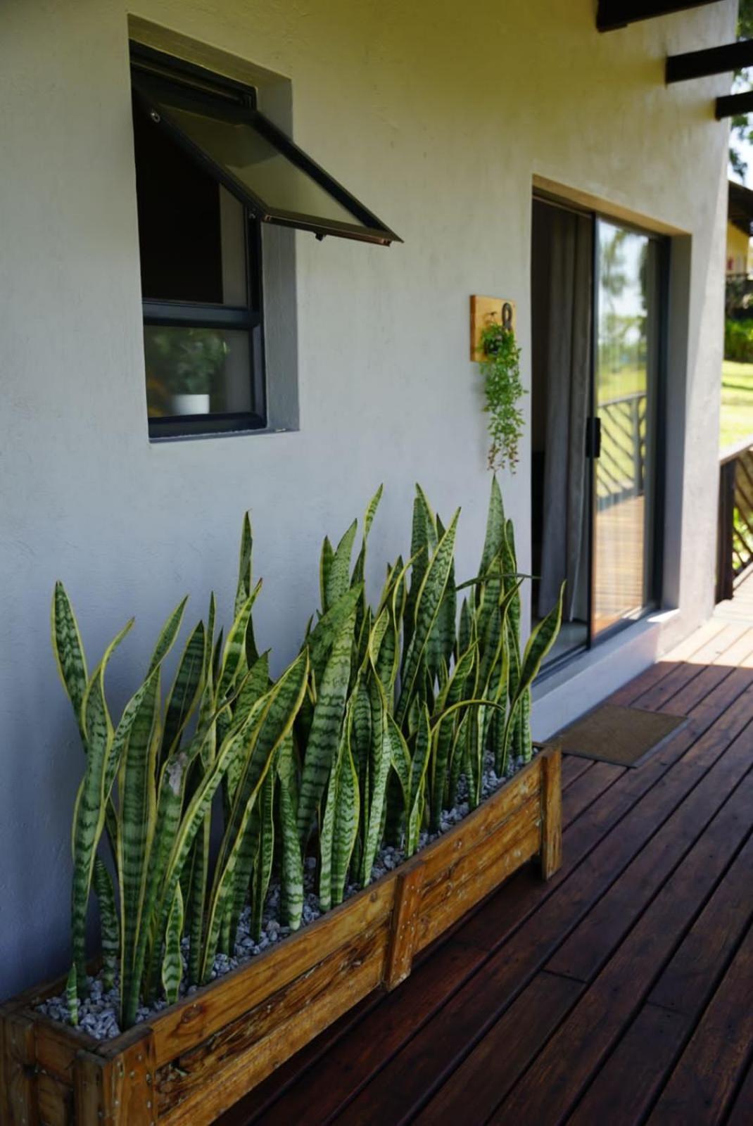 Guest house Nabana Hazyview